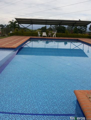  Los Angeles van a vacaciones  Finca  eventos espiritual - Finca en Pereira, Risaralda